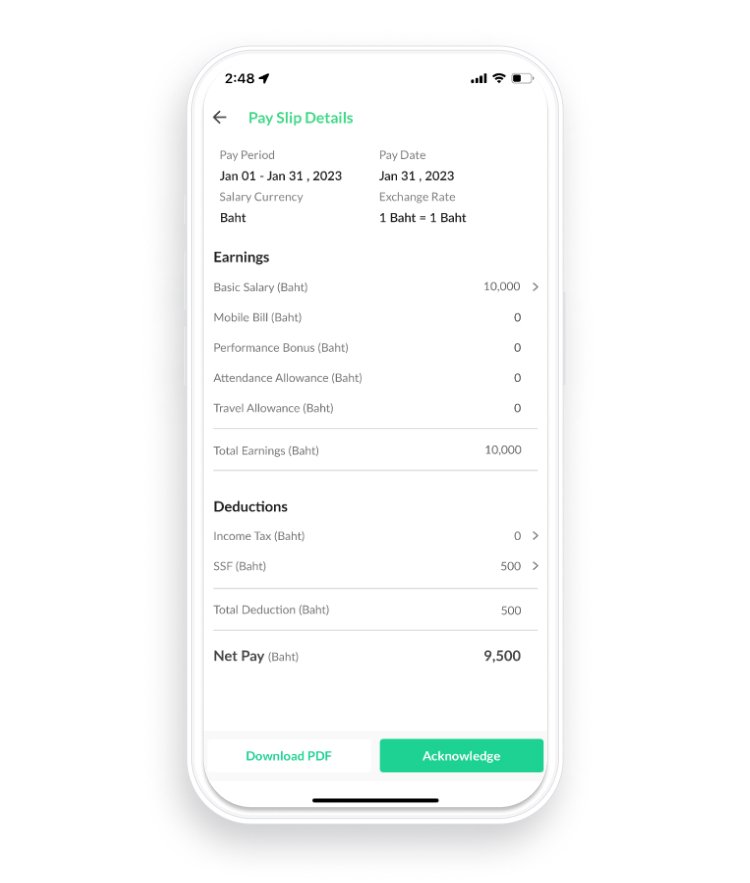 Downloadable Payslip